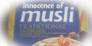 Lire la suite à propos de l’article Bacille de copte : « L’innocence des musulmans »