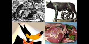 Lire la suite à propos de l’article Journal des Parques J-10