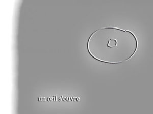 Je veux rester un étranger | Vidéo texte audio © David Noir
