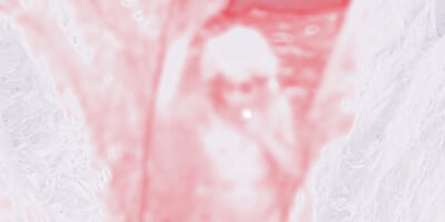 Lire la suite à propos de l’article Image fantôme
