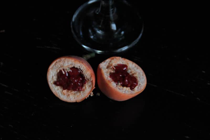 T'es toi | Fruit de ma passion | Photo © David Noir