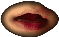 Ma bouche d'entrée © David Noir