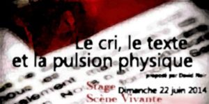 Stage Scène Vivante | "Le cri, le texte et la pulsion physique" | Visuel © David Noir
