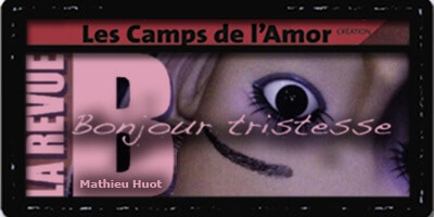Presse | "Les camps de l'Amor" de David Noir | La revue Bancal