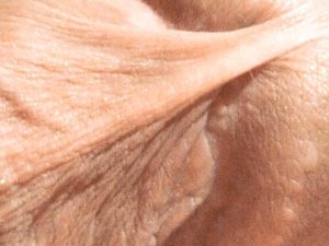 Frein de mon pénis (détail) | Ma queue branlée | Détails de mon sexe | Autoportrait | Ma bite, mon amie © David Noir