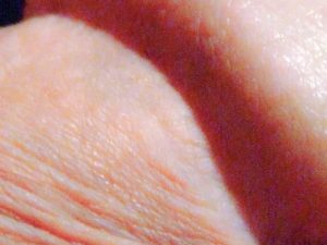 Couronne de mon gland (détail) | Ma queue branlée | Détails de mon sexe | Autoportrait | Ma bite, mon amie © David Noir