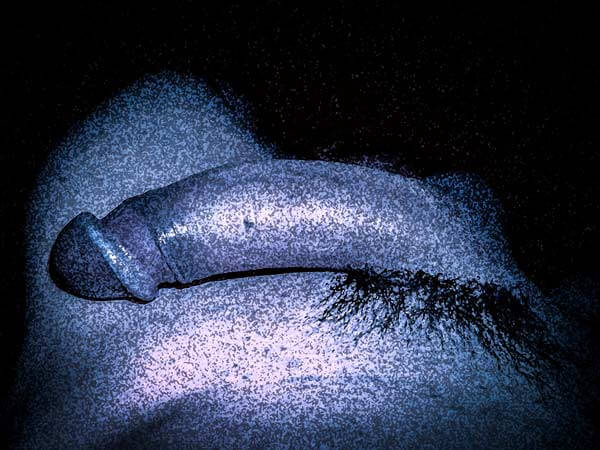Mon art sexuel | Ma bite alanguie | 5 | Autoportrait © David Noir