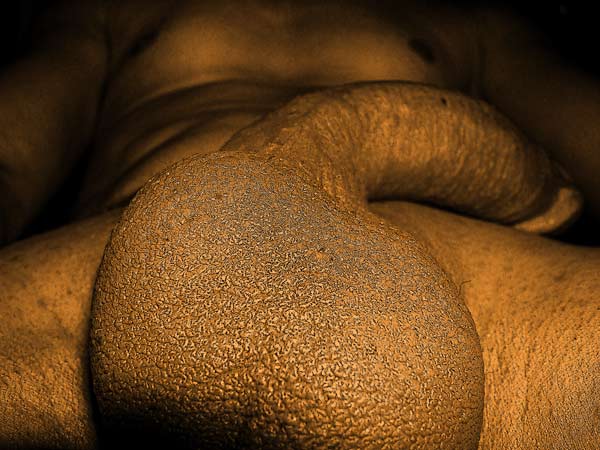 Mon art sexuel | "Mon Paquet d'or" | Pénis et couilles au repos | 1 | Autoportrait © David Noir