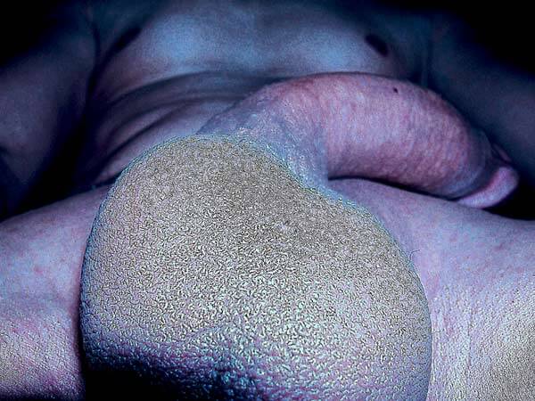 Mon art sexuel | Pénis et couilles au repos | 2 | Autoportrait © David Noir