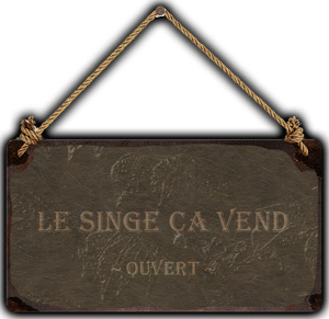 ダヴィッド・ノワールのウェブサイトにあるショップ「Le Singe ça vend」。