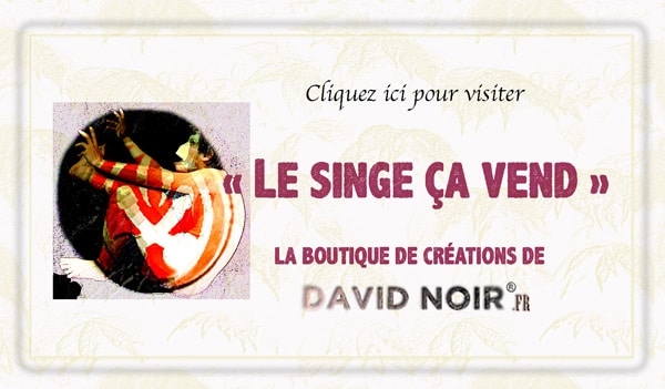 "Le Singe ça vend", il negozio sul sito di David Noir | Vendita di creazioni © David Noir® Production
